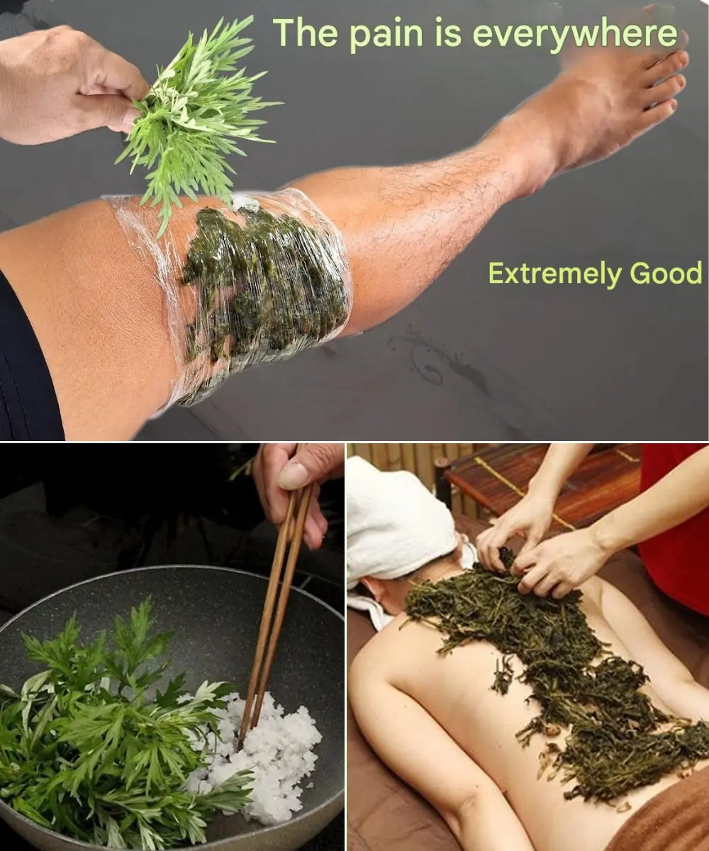 Say Goodbye to Joint and Bone Pain Naturally with This Ancient Herbal Remedy